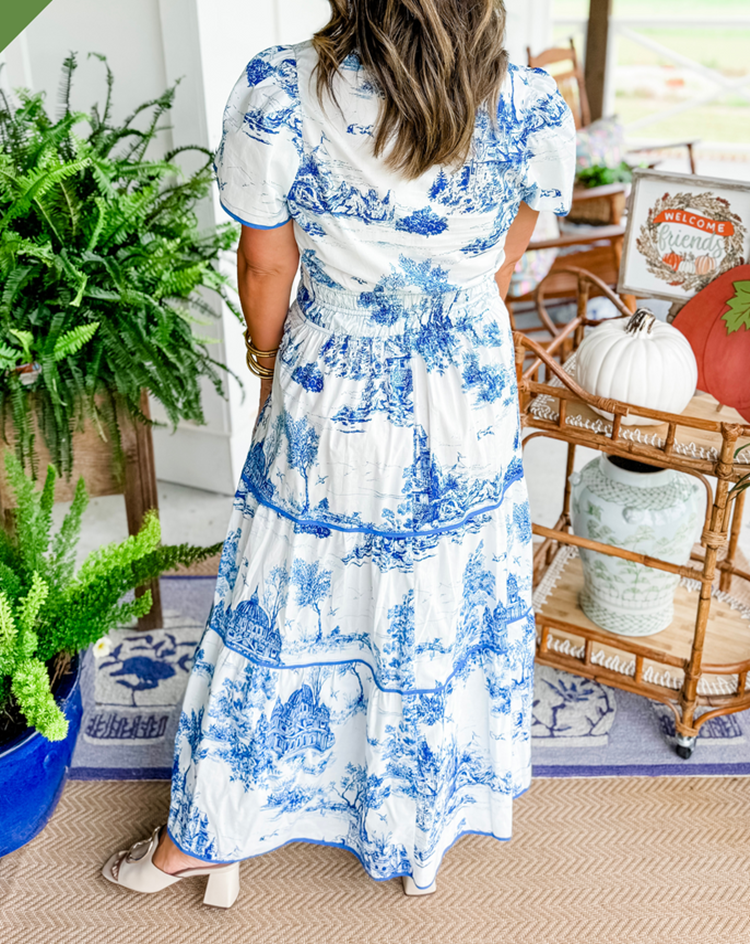 Toile print maxi dress back