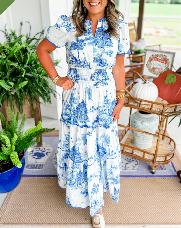 Blue toile print maxi dress