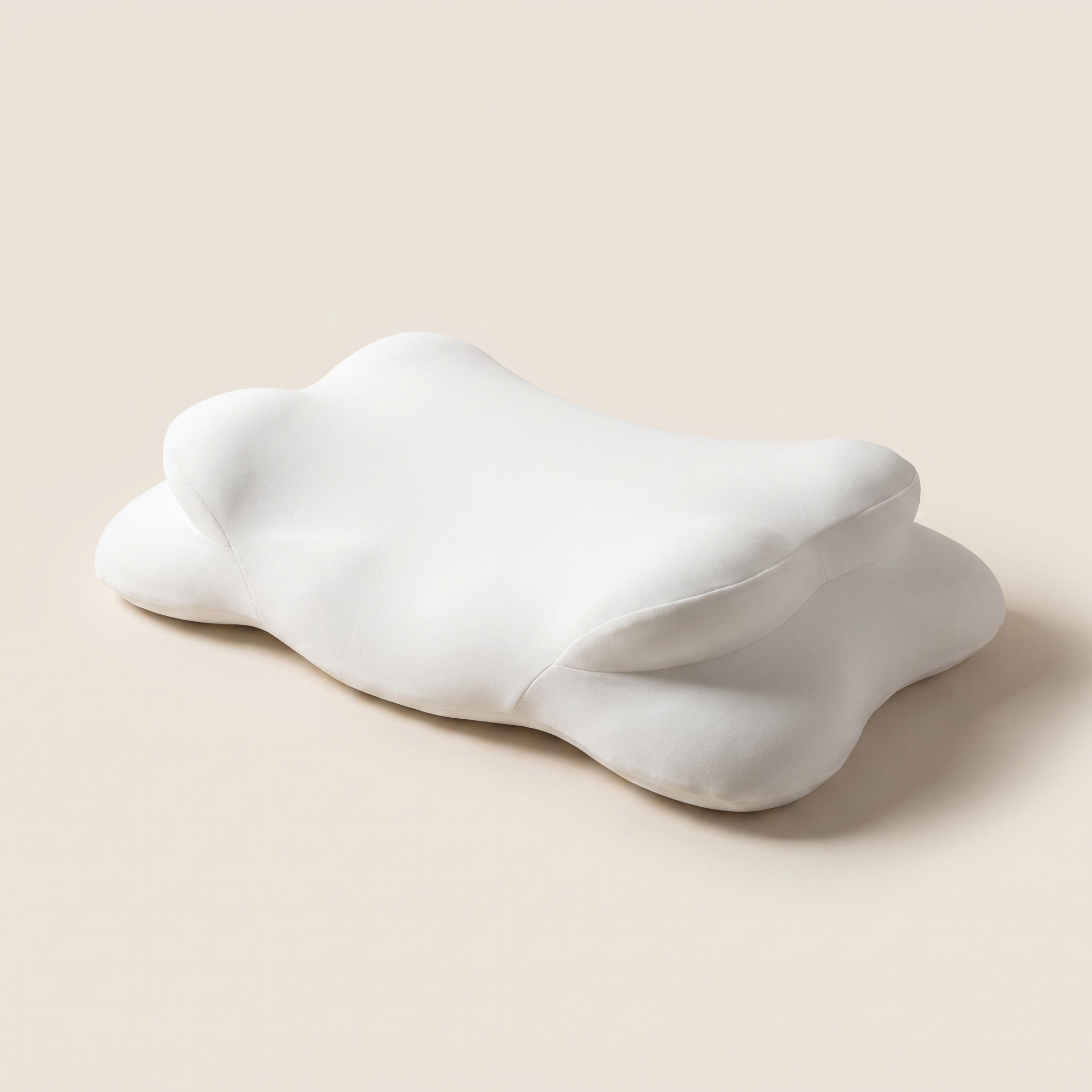 Free Pillow + Blanket